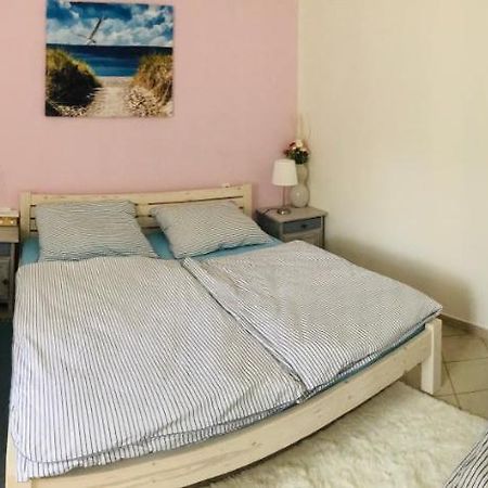 Apartman U Reky Srbsko Εξωτερικό φωτογραφία